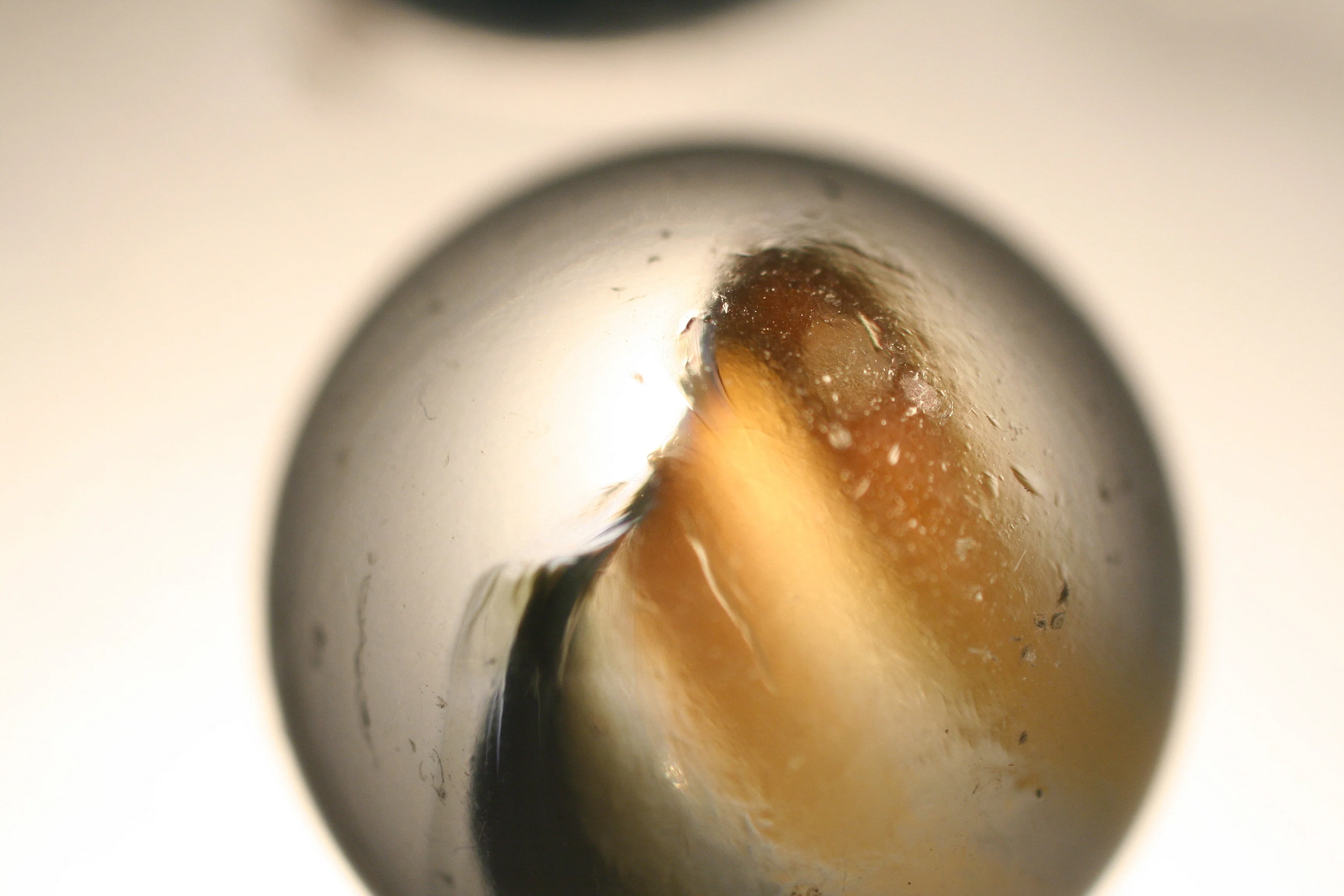 Macromania - Muzaffer Malkoç, Macro Photography Series - View 9
