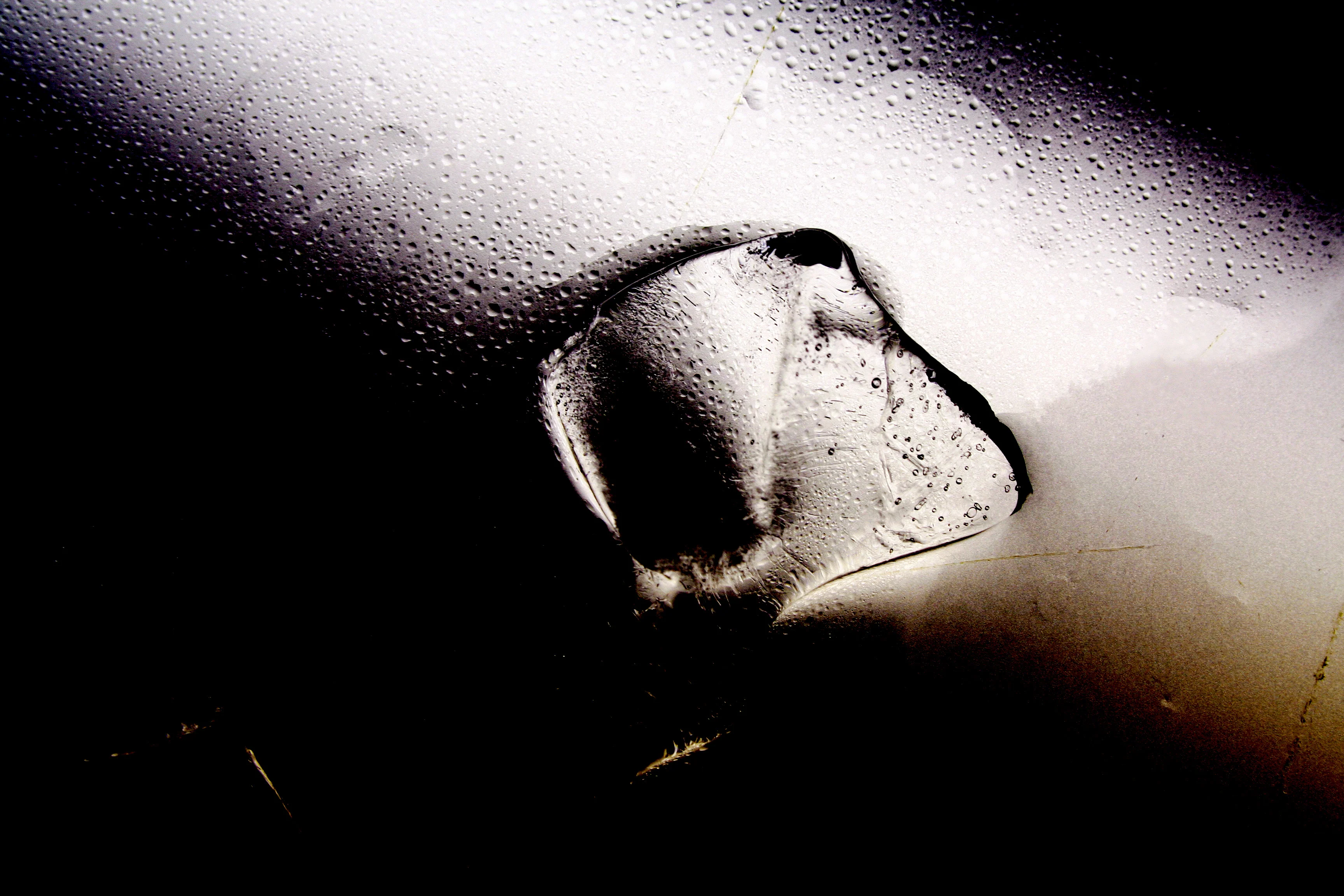 Macromania - Muzaffer Malkoç, Macro Photography Series - View 3