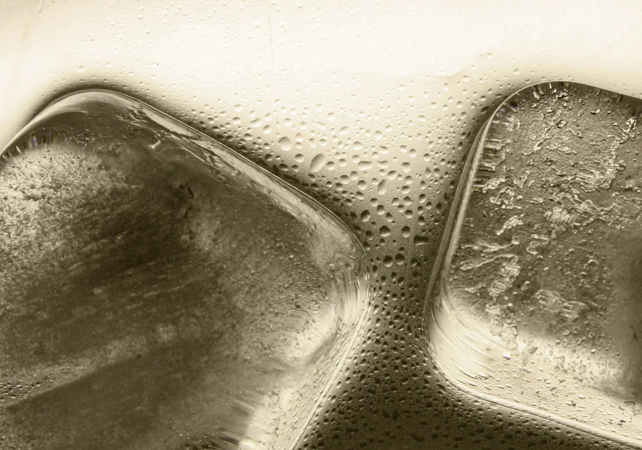 Macromania - Muzaffer Malkoç, Macro Photography Series - View 7