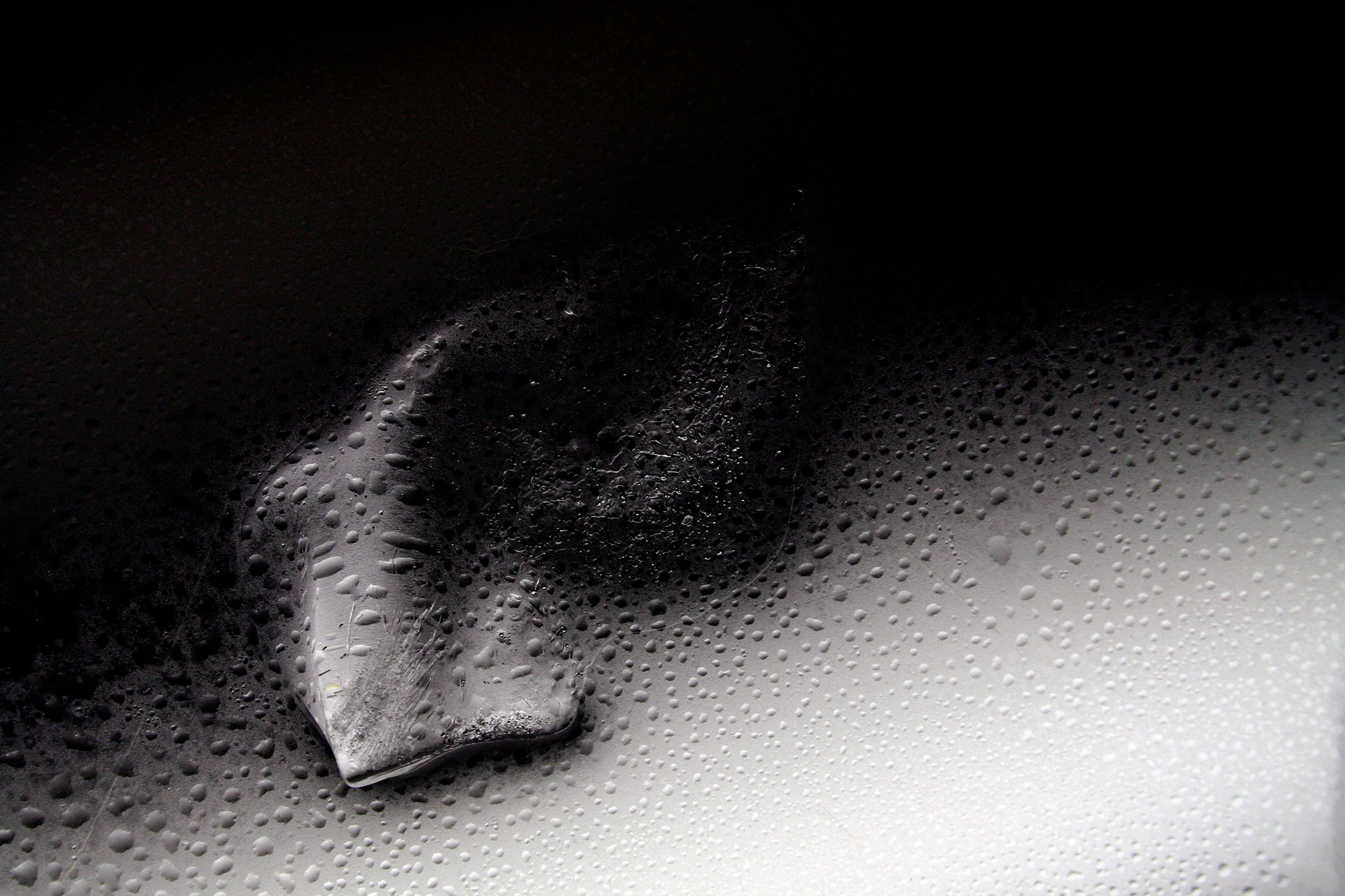 Macromania - Muzaffer Malkoç, Macro Photography Series