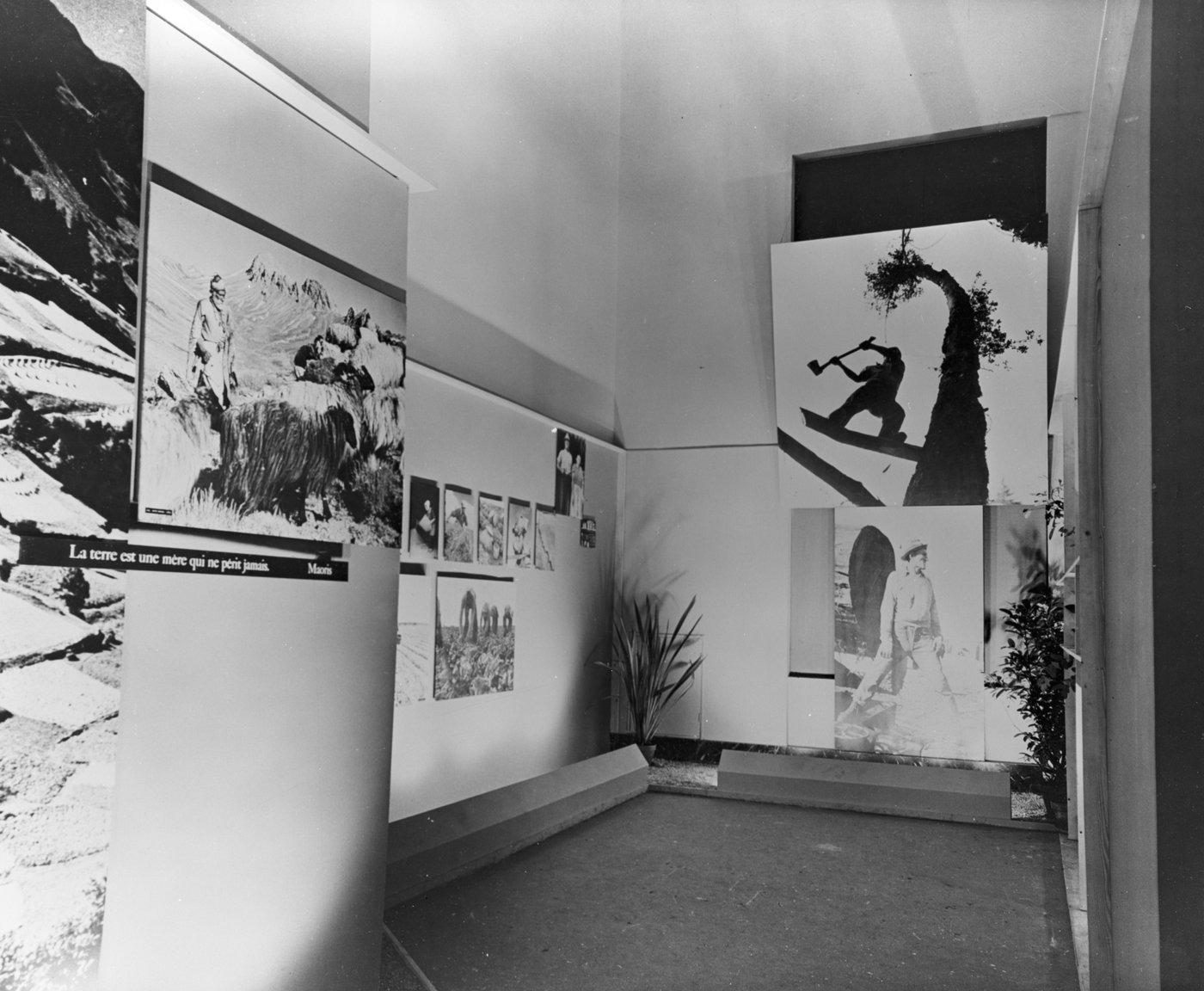 Edward Steichen's 1955 The Family of Man exhibition installation layout and spatial design.