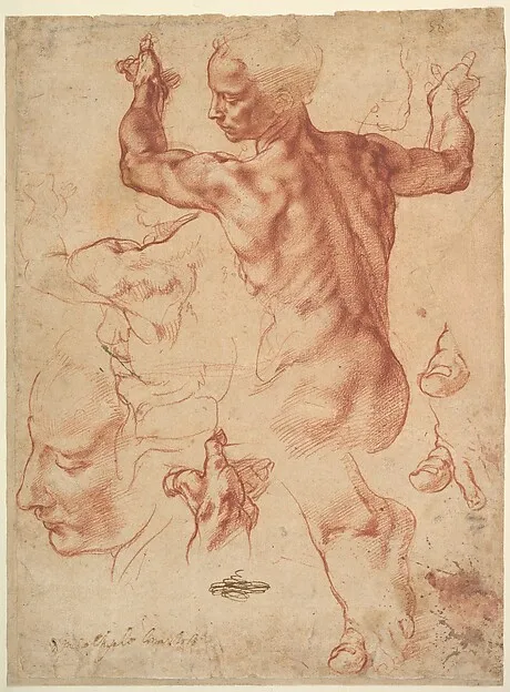 Studies for the Libyan Sibyl by Michelangelo Buonarroti