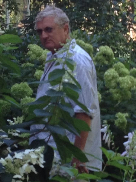 Walter Robinson Atölyesinde by Walter Robinson