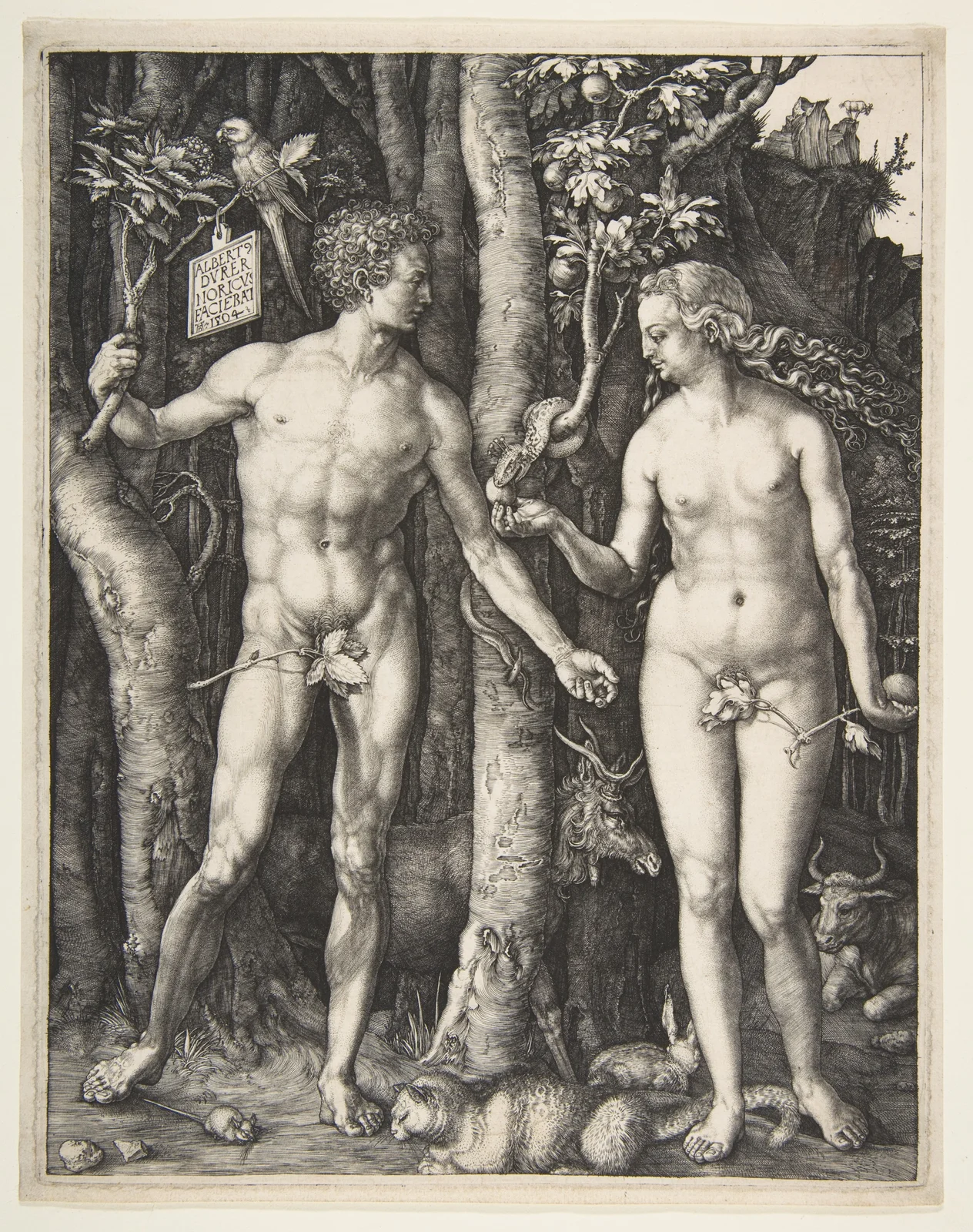 Adam and Eve - Albrecht Dürer